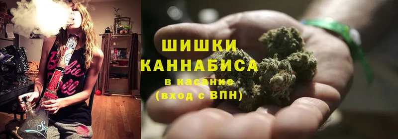 Бошки марихуана THC 21%  mega ССЫЛКА  Егорьевск  хочу  